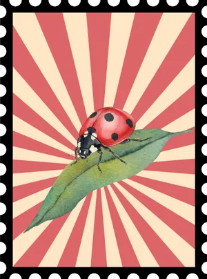 Bug The Lady
